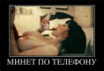 /album/fotogaljerjeja/a5a3b8db0f1d6-jpg/