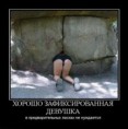 /album/fotogaljerjeja/a5d8eea8bce4c-jpg/