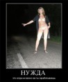 /album/fotogaljerjeja/a5e6f4264af2b-jpg/