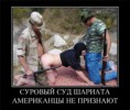 /album/fotogaljerjeja/a5e8d3411a496-jpg/