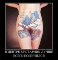 /album/fotogaljerjeja/a5fe2af2a184a-jpg/