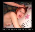 /album/fotogaljerjeja/a6b520877966e-jpg/