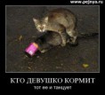 /album/fotogaljerjeja/a6cf095a554f4-jpg/