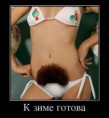 /album/fotogaljerjeja/a6d170807e0a3-jpg/
