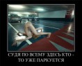 /album/fotogaljerjeja/a6dad8184fb10-jpg/