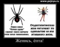 /album/fotogaljerjeja/a6f04f761c78a-jpg/