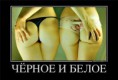 /album/fotogaljerjeja/a7b1f489ffa7e-jpg/