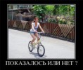 /album/fotogaljerjeja/a7f78386ddc7d-jpg/