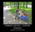 /album/fotogaljerjeja/a8cea3ed4b3ef-jpg/