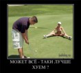 /album/fotogaljerjeja/a8e6a0666e0a7-jpg/