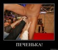 /album/fotogaljerjeja/a9dbeb729a6e8ae1c58c063def36c6a86-zpsea6df6b8-jpg/