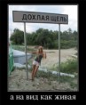 /album/fotogaljerjeja/a38dae10e1b5d-jpg/